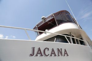 Jacana 6